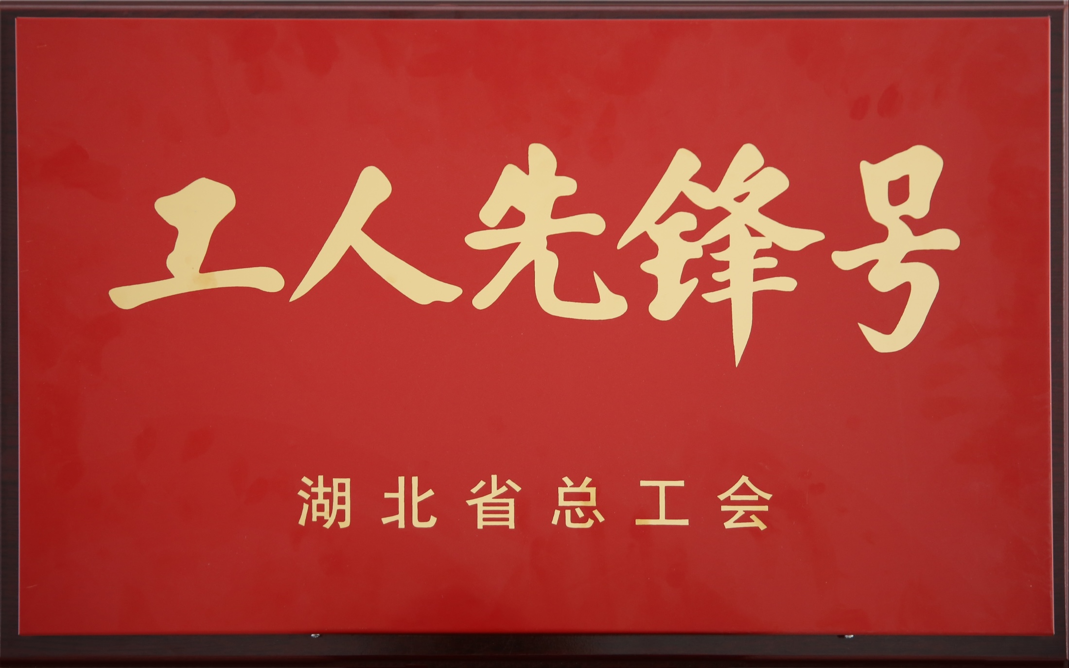 省部級：新冠滅活疫苗研制團(tuán)隊